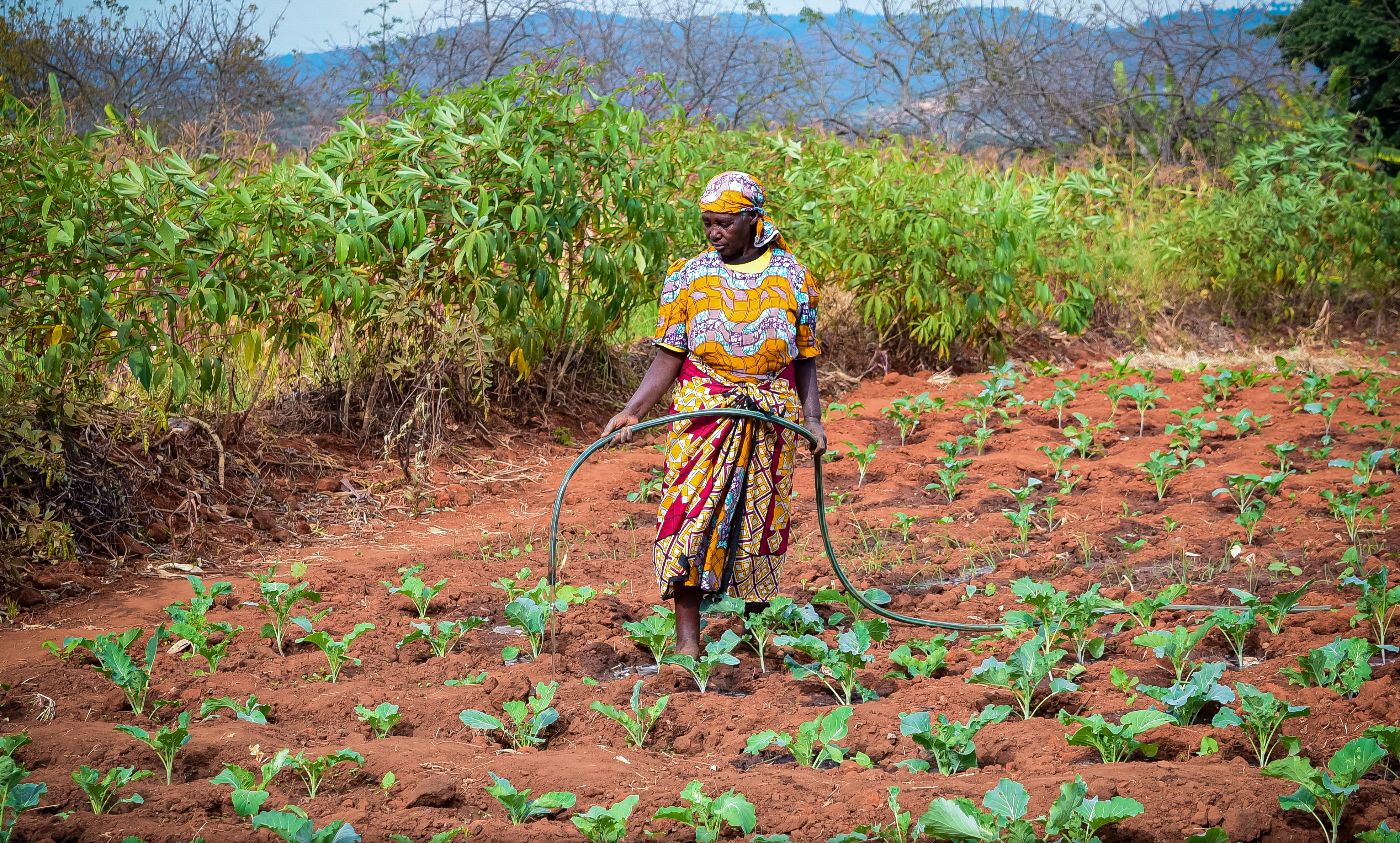 Farmer-Led Irrigation Development (FLID)