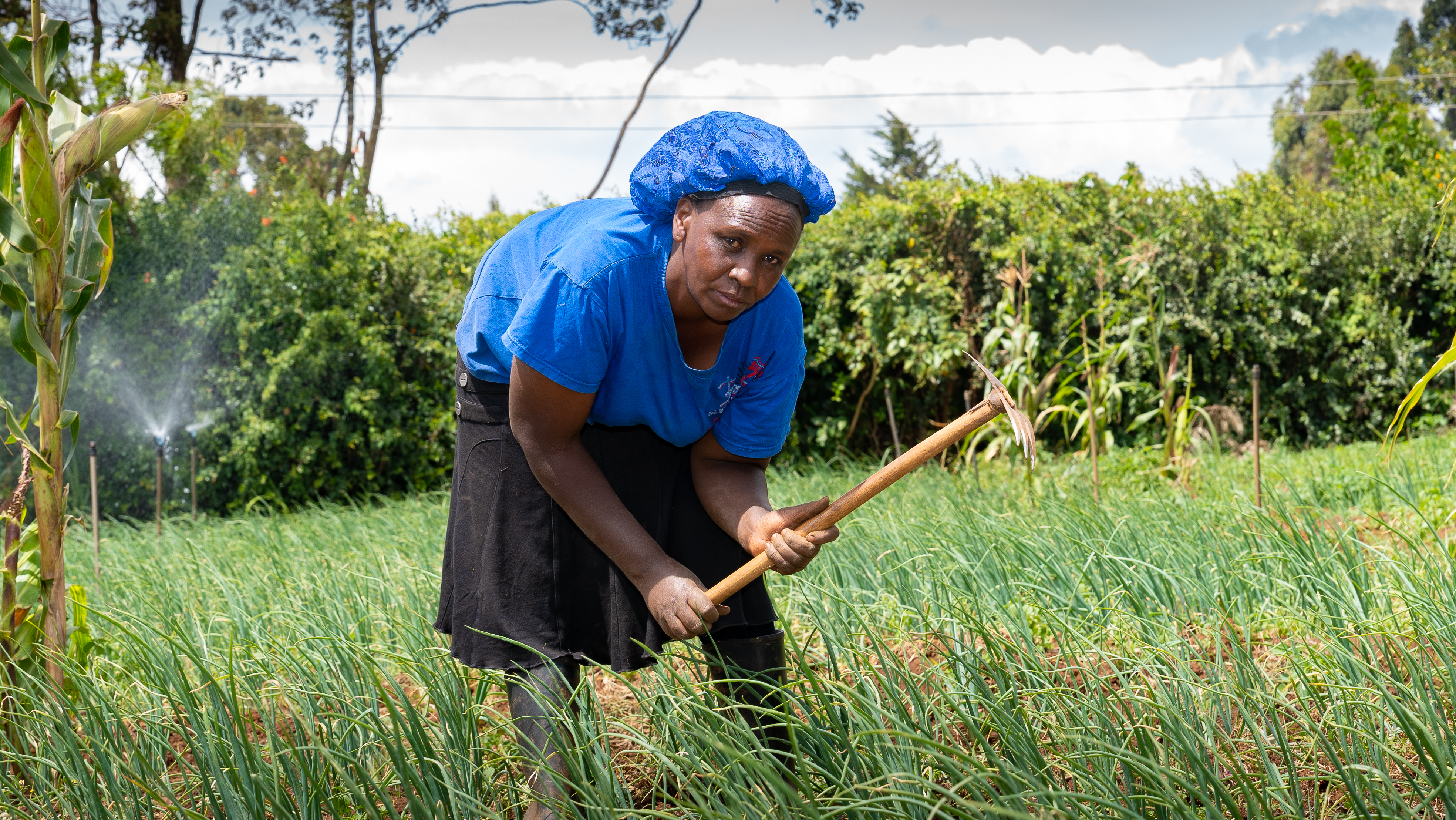 From Water Scarcity to Farming Success: Sarah Njeri’s Onion Farming Journey