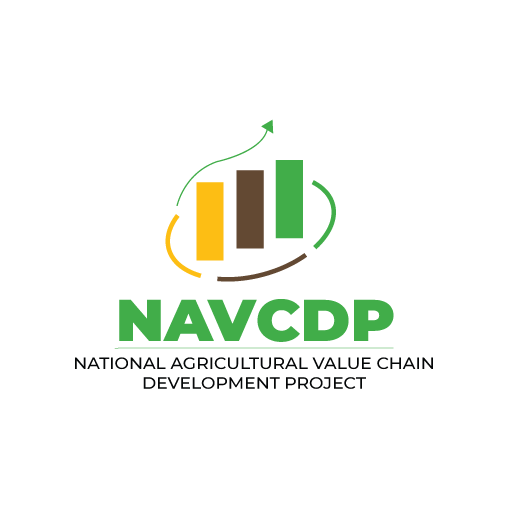 NAVCDP favicon